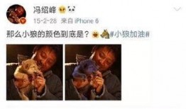 吃瓜小狼,揭秘娱乐圈背后的那些事儿