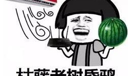 吃瓜减肥句子,吃瓜也能减肥？揭秘神奇减肥法背后的秘密