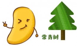 吃瓜榜一,揭秘娱乐圈背后的故事