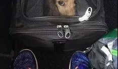 坐飞机怎么吃瓜