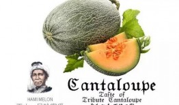 吃哈瓜蜜瓜的文案,哈瓜新宠，甜蜜滋味一网打尽