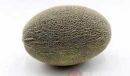 哺乳吃哈密瓜好处