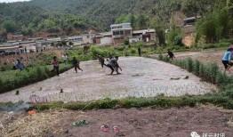 吃瓜大营门,一场全民参与的娱乐盛宴