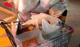 忻州疫情吃瓜群众,吃瓜群众视角下的防疫风云