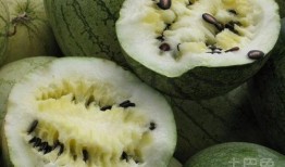 孕妇梦见自己吃籽瓜,籽瓜寓意与生育寓意
