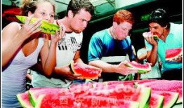 西安吃瓜比赛,吃瓜比赛狂欢，瓜王争霸一触即发