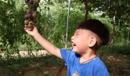 宝妈吃瓜,揭秘娱乐圈那些不为人知的幕后故事