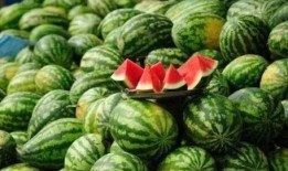 乾隆路边吃瓜解渴,乾隆皇帝路边吃瓜解暑趣闻