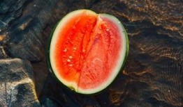 丹凤吃瓜,揭秘宫廷中的宫廷美食传奇