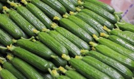 协和吃瓜事件,真相与反思