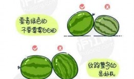 印度吃瓜的正确方法,解锁地道印度风味吃瓜技巧