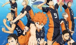 排球少年吃瓜吧唧价格,吃瓜吧唧价格揭秘，带你领略排球魅力