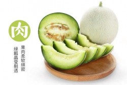 网纹瓜什么时间吃,网纹瓜最佳食用时间揭秘