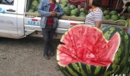 忻州疫情吃瓜群众,吃瓜群众视角下的防疫风云