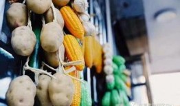 临夏吃瓜爆料,揭秘当地美食背后的故事