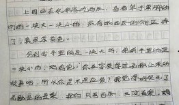 作文动物吃瓜比赛,吃瓜比赛大比拼