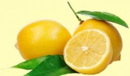 看书vs吃瓜,探索看书与吃瓜的平衡之道