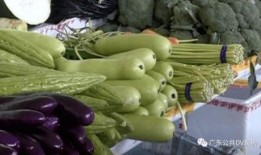 蜗牛吃葫芦瓜吗怎么吃,蜗牛食葫芦瓜的奇妙食用方法揭秘