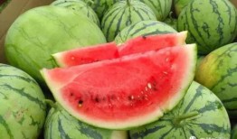 丹凤吃瓜,揭秘宫廷中的宫廷美食传奇