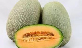 给帅哥吃哈密瓜,给帅哥一份哈密瓜的清新礼遇