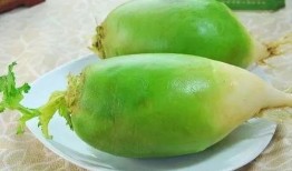 吃瓜的青萝卜,探寻夏日消暑美食的奥秘