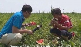 日常吃瓜的同学,揭秘同学生活点滴