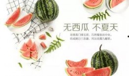 健康活动瓜瓜吃瓜,健康生活每一天