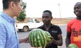 在美国吃瓜群众,美国吃瓜群众视角下的热点事件解读