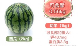 健康活动瓜瓜吃瓜,健康生活每一天