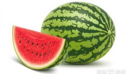 会吃的瓜有什么瓜,揭秘各种瓜果的美食奥秘