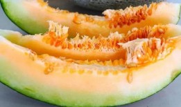 大力伦吃瓜,网络热词背后的故事与影响