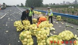 临漳吃瓜群众,揭秘当地独特民俗风情