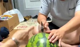 吃瓜博主大学生瓜,揭秘大学生活中的那些“瓜”