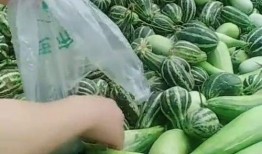 农村吃瓜爆料,揭秘乡村生活那些事儿