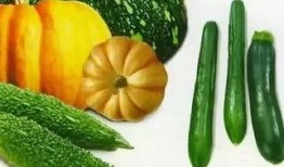 6分吃瓜,6分吃瓜，带你领略明星幕后故事