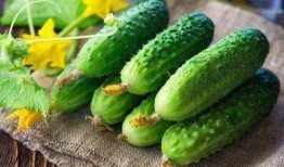 晴花花吃瓜,一场花与瓜的奇妙邂逅