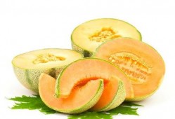 吃块哈密瓜歌舞,一场别开生面的歌舞盛宴