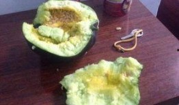 农村吃瓜爆料,揭秘乡村生活那些事儿