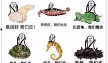 吃瓜群众皮皮虾,吃瓜群众的欢乐源泉