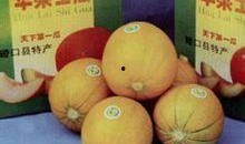 华莱士瓜怎么吃,解锁美味新体验