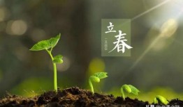 立春为什吃瓜,为何传统习俗中要吃瓜？探寻民间智慧与食俗渊源