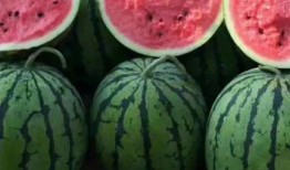 红瓜可以吃,美味与营养的完美结合