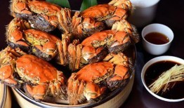 角瓜几月吃最佳时间,把握最佳食用时间，尽享美味与营养