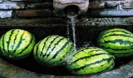 过日子吃瓜,品味日常饮食的美好时光