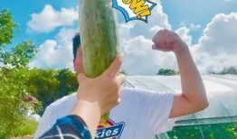 叫朋友吃瓜,与好友共享美食时光