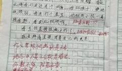 作文动物吃瓜比赛,吃瓜比赛大比拼
