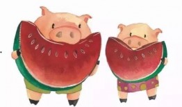 吃瓜吃肉的猪,吃瓜吃肉的猪的趣味生活