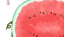 大暑 吃瓜,吃瓜解暑，养生必备