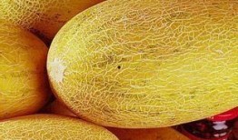 给帅哥吃哈密瓜,给帅哥一份哈密瓜的清新礼遇