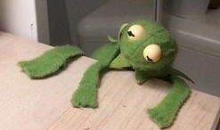 吃瓜咸鱼之王,网络红人的崛起与影响力